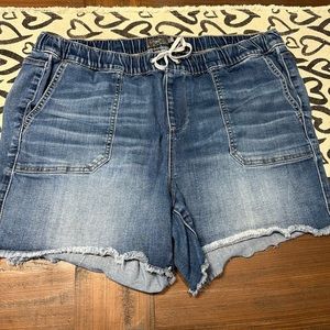Torrid Drawstring Denim Shorts Size 2